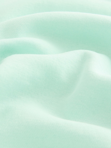Next Sweatshirt 'Essentials' in Grün