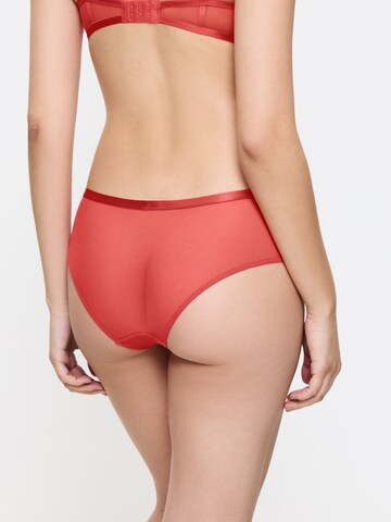 TRIUMPH Slip 'Crazy Stupid Love' in Oranje