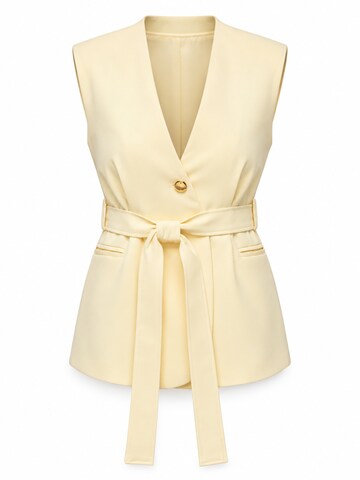 Gilet di Ombre in giallo: frontale