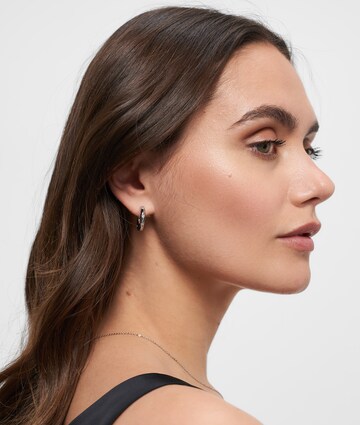 Tamaris Earrings in Silver