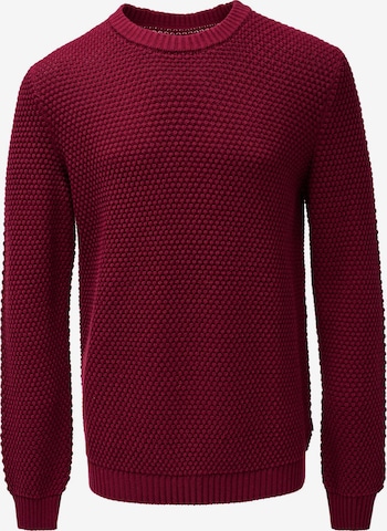 Salsa Jeans Pullover in Rot: Vorderseite