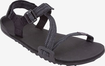 Xero Shoes Sandals & Slippers 'Z-Trail' in Black: front