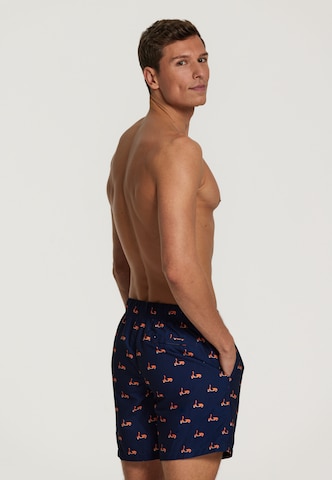 Shiwi Zwemshorts in Blauw