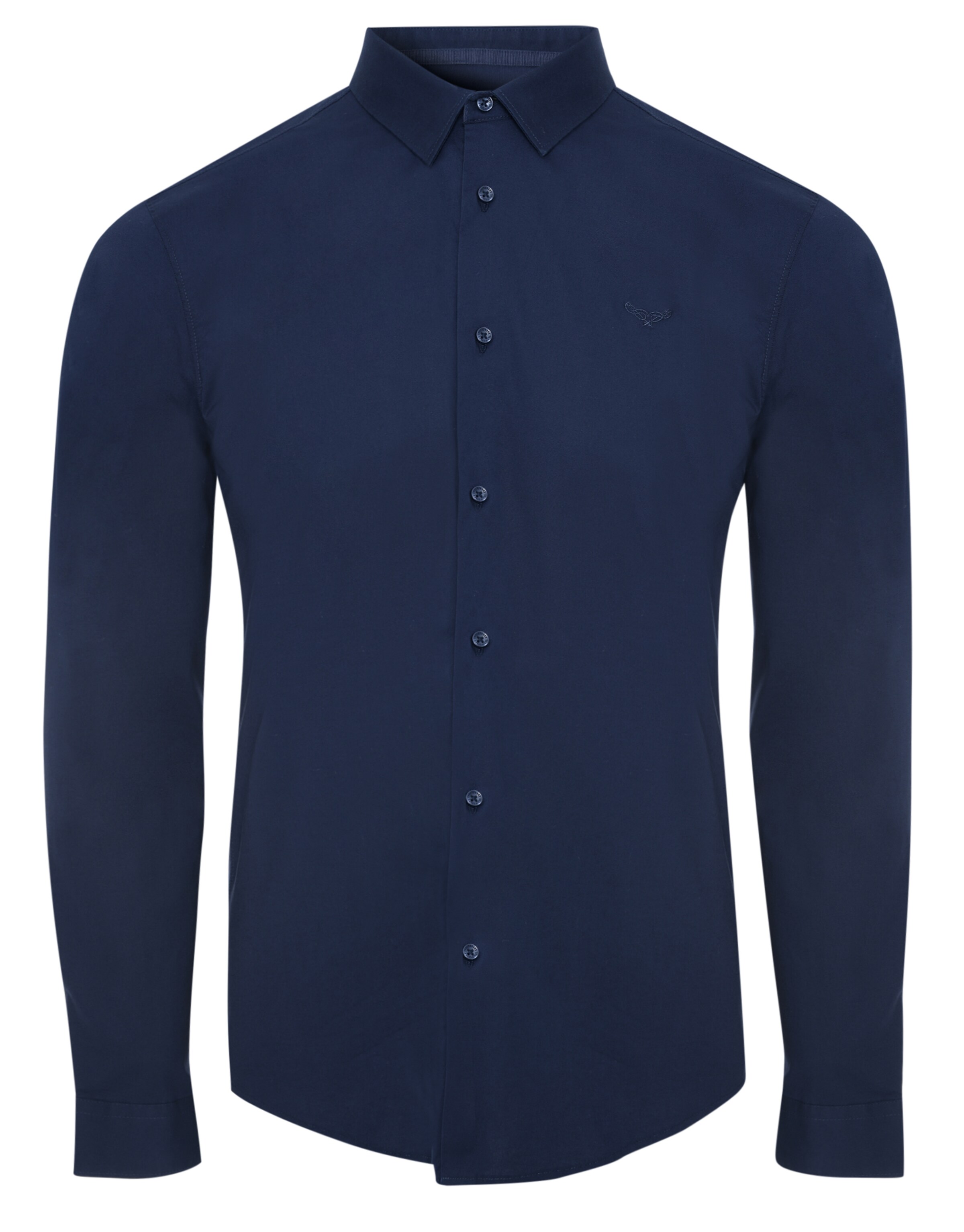 Threadbare Regular fit Button Up Shirt 'Olly' in Blue: front