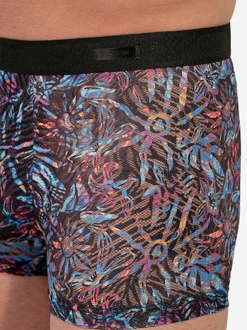 Boxers ' Biscayne ' HOM en bleu