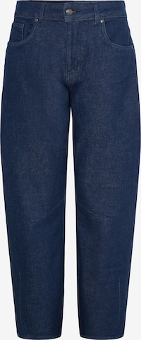 Pulz Jeans 'PZnAnni' in Blau: Vorderseite