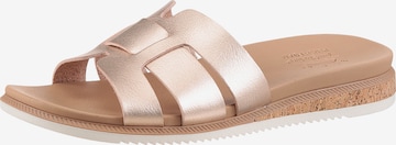 SKECHERS Mules 'Desert Kiss' in Gold: front