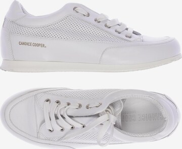 Candice Cooper Sneakers & Trainers in 38 in White: front