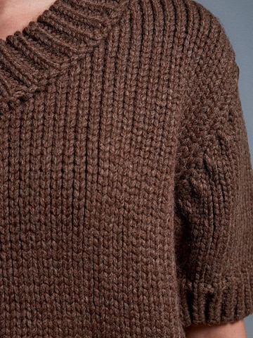 Pullover 'Pullover' di Dilvin in marrone