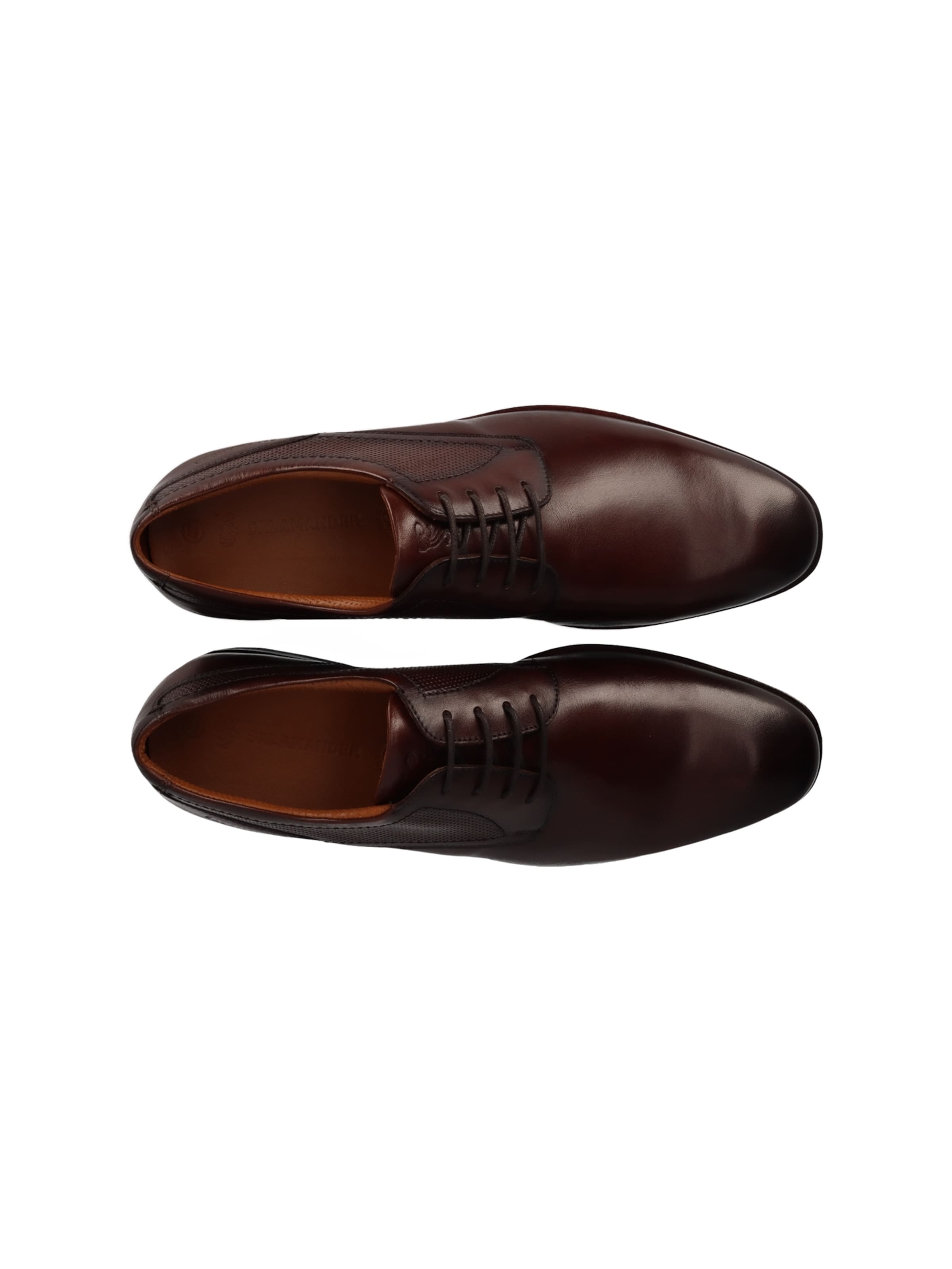 SALAMANDER Snøresko i brun