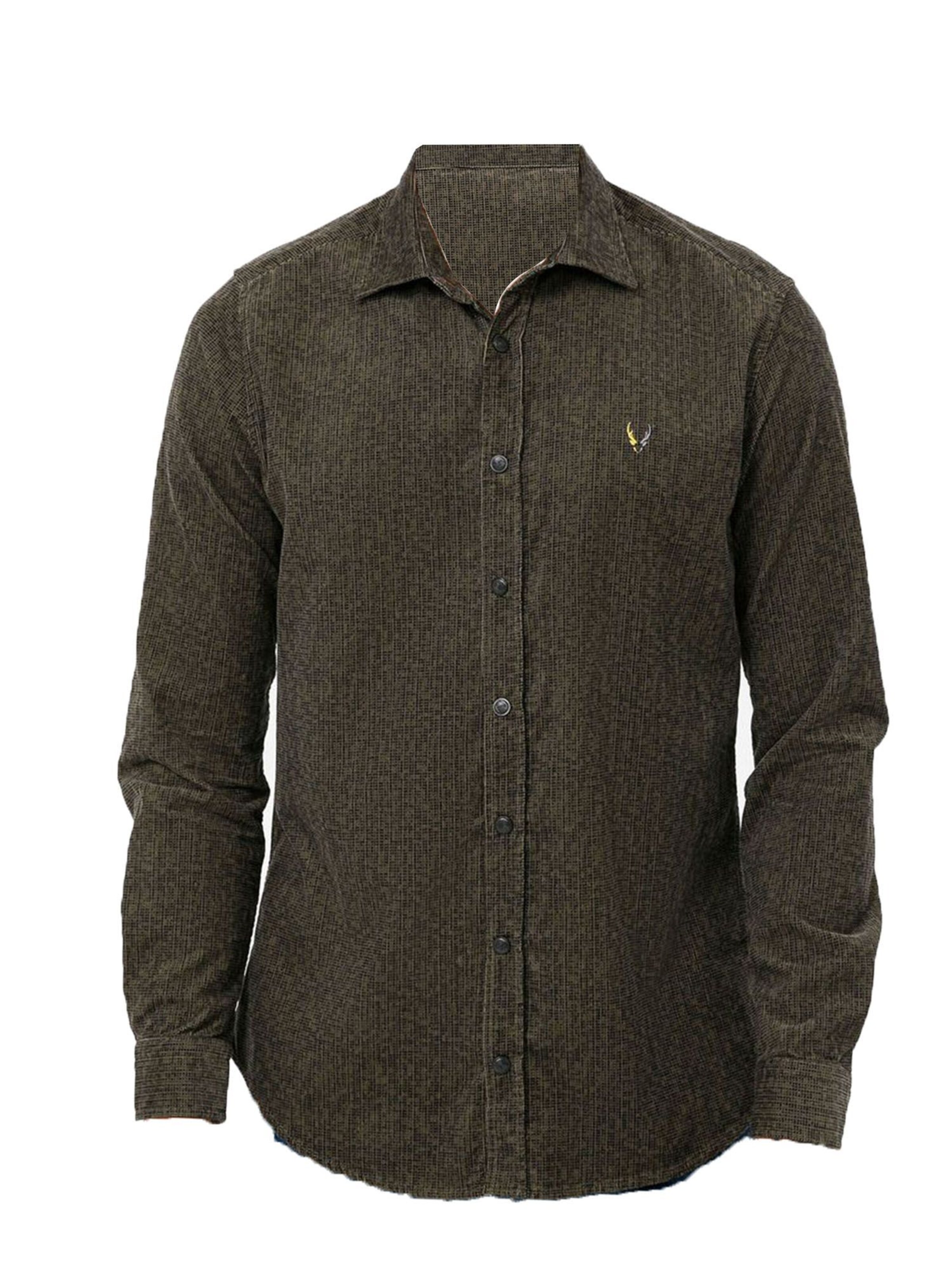 By Diess Collection Regular fit Πουκάμισο σε πράσινο: μπροστά