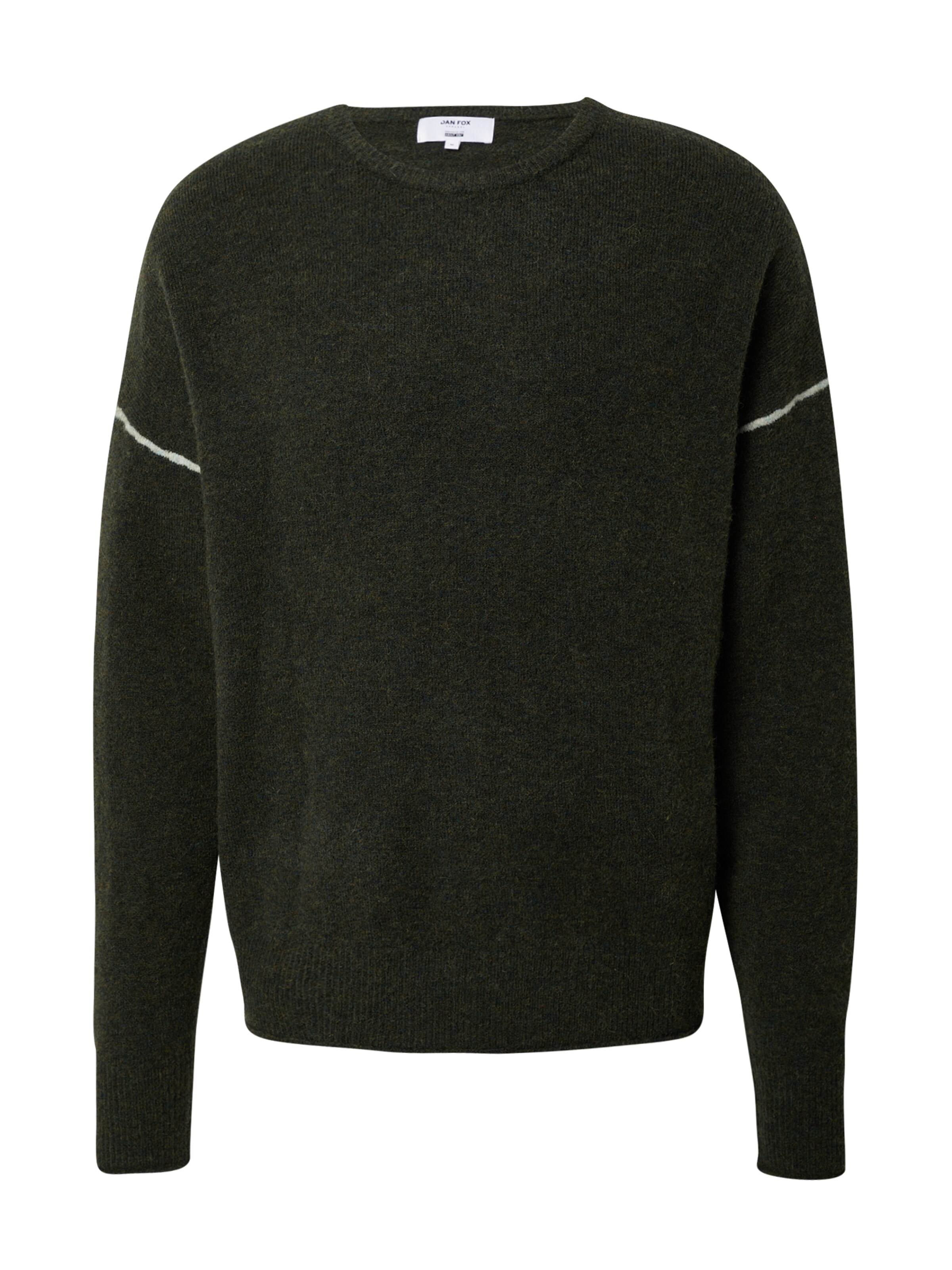 DAN FOX APPAREL Sweater 'Thilo' in Green: front