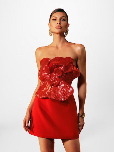 Mew Mews Dress 'Manik' in Red, Item view