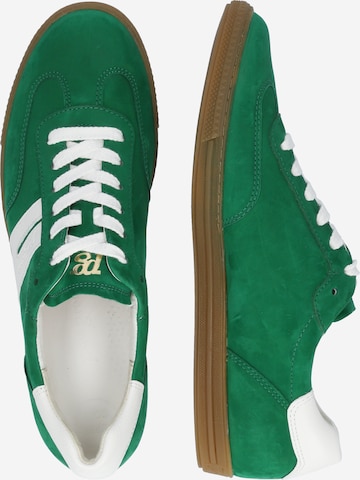Paul Green حذاء رياضي بلا رقبة بلون أخضر