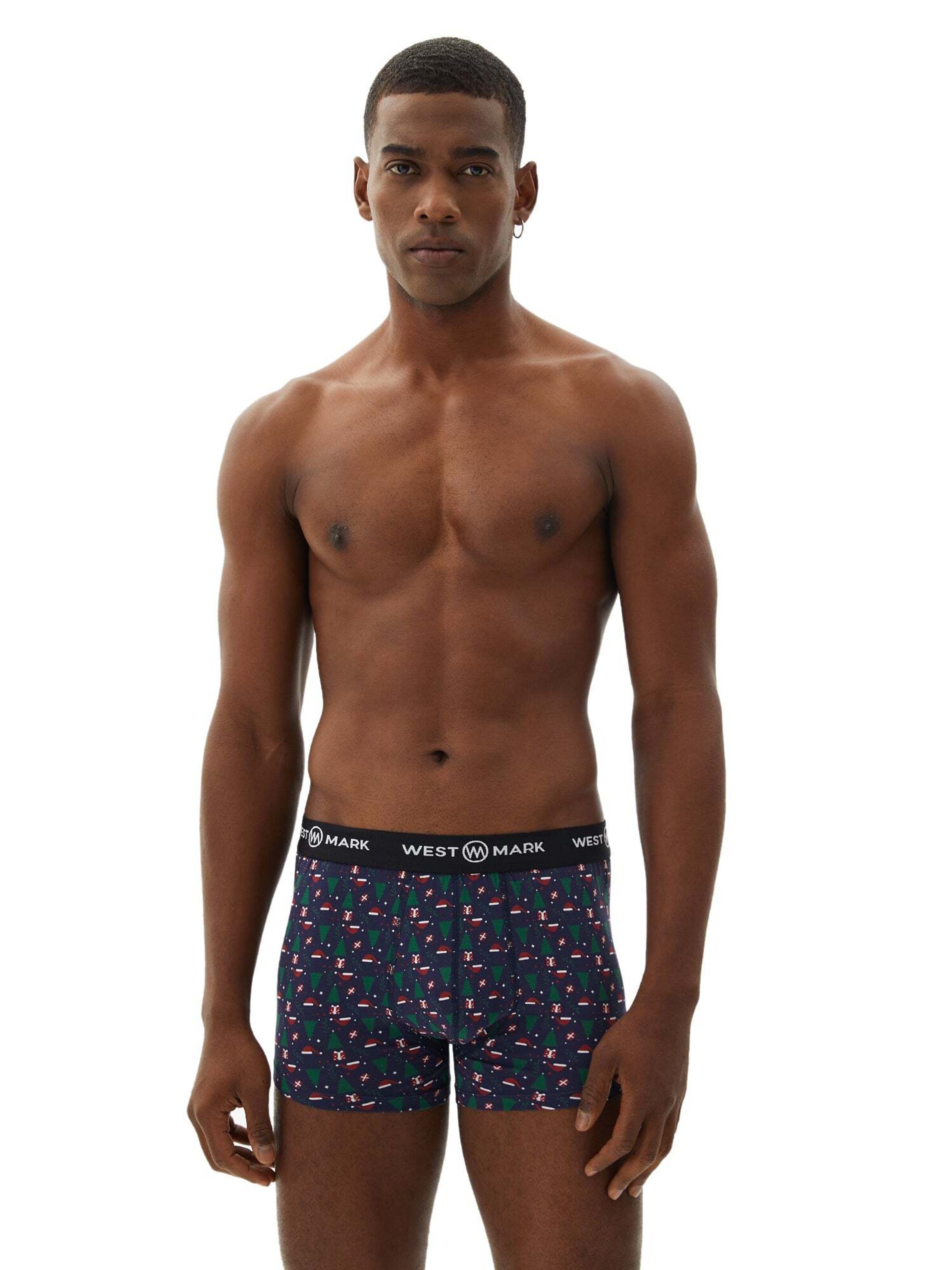 WESTMARK LONDON Boksershorts i blandingsfarvet