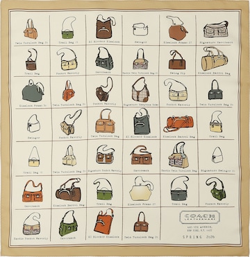 smėlio COACH Skara: priekis