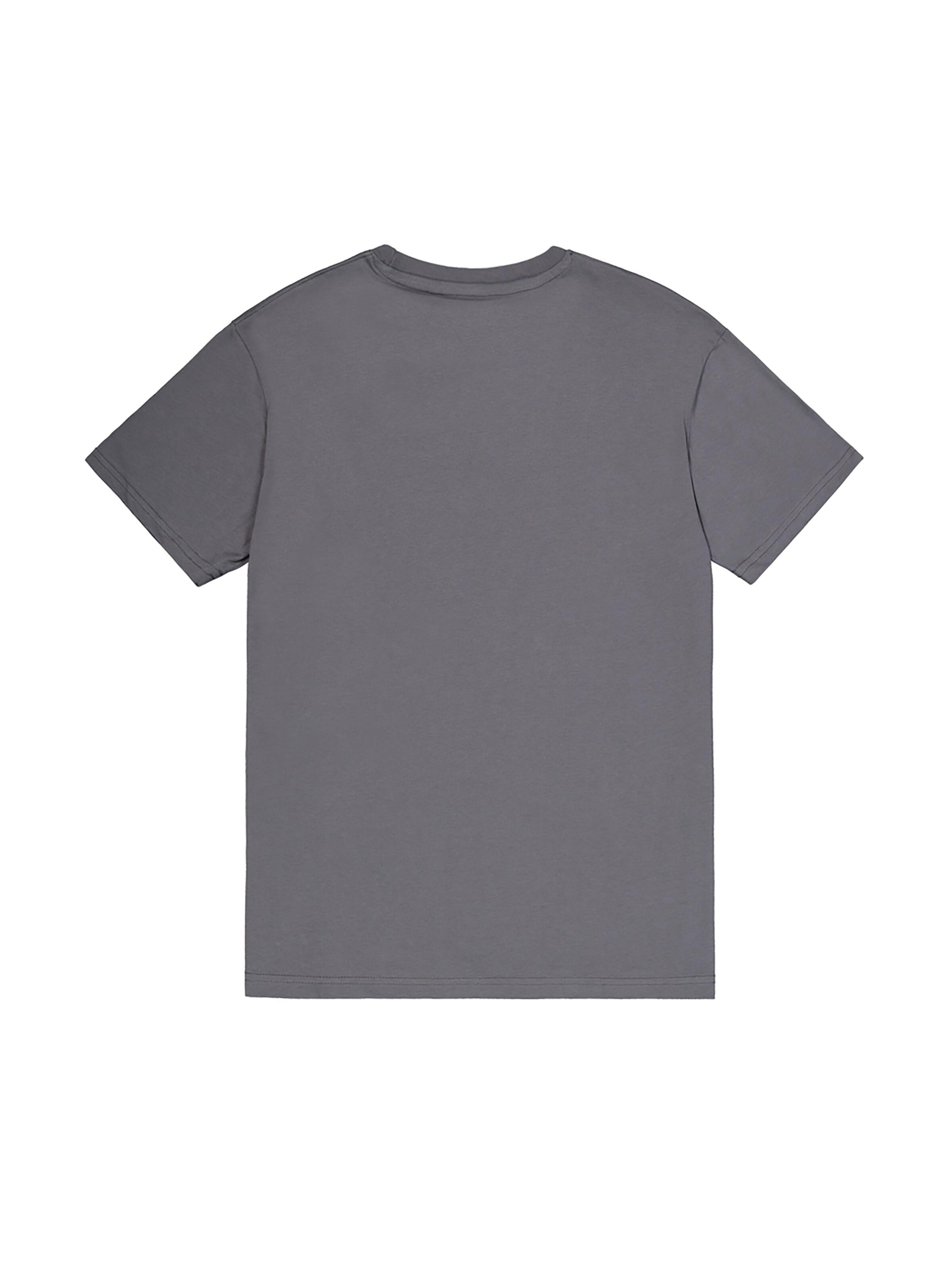 ALPHA INDUSTRIES Shirt 'Basic Small Logo'‌‌‌‌‌‌‌‌ in Grau