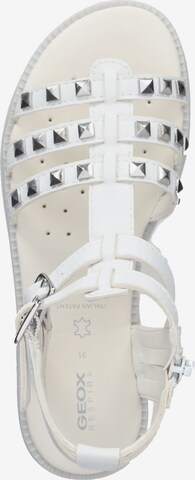 GEOX Sandals in White