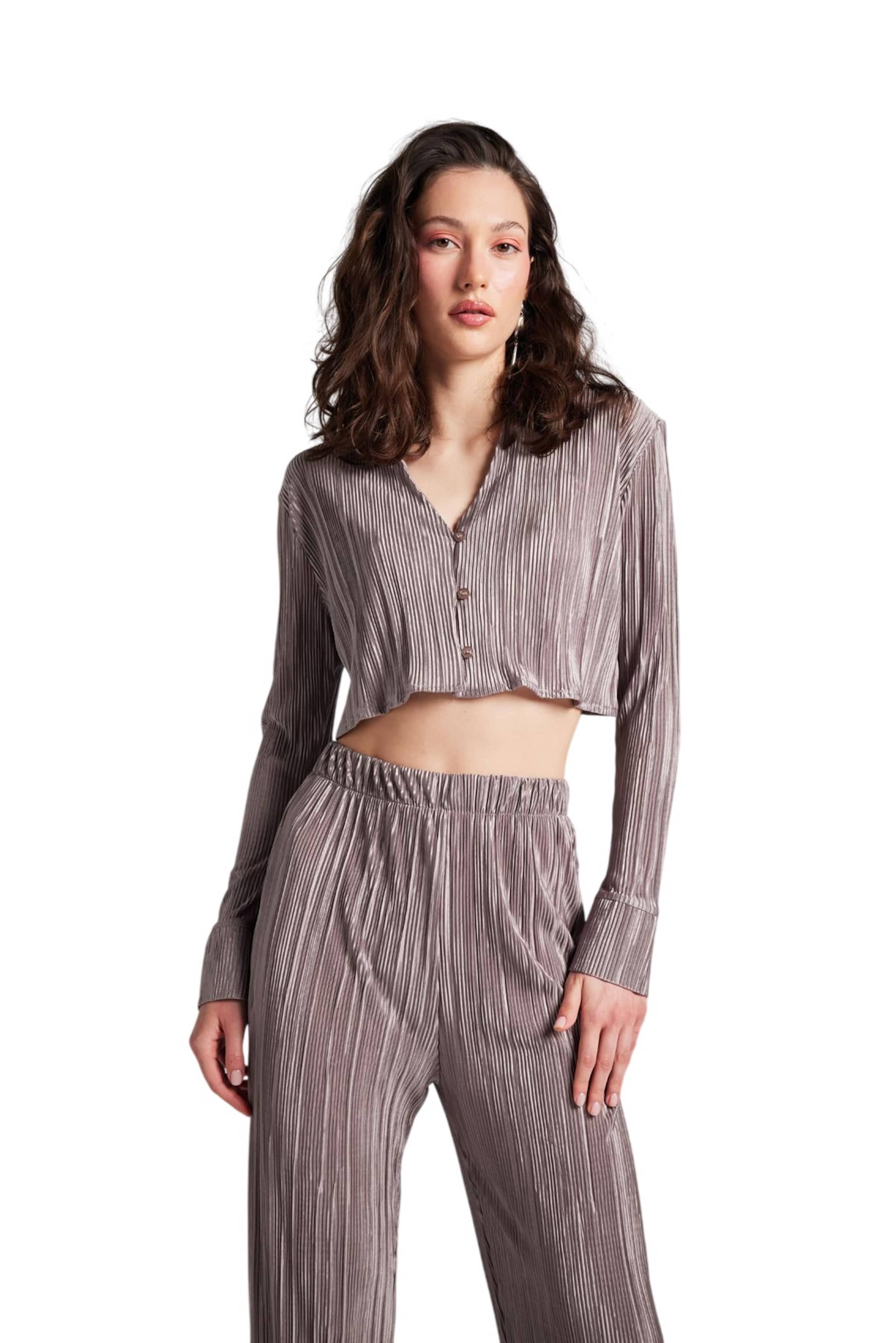 HOLLY LOLLY Blouse in Grey: front