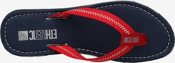 Ethletic T-Bar Sandals in Blue