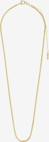 zelts Pilgrim Ķēdīte 'Nikita': no priekšpuses