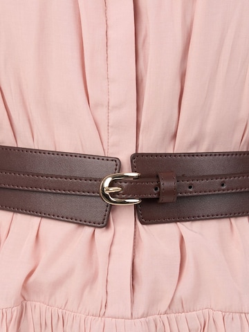 jolar Belt in Brown