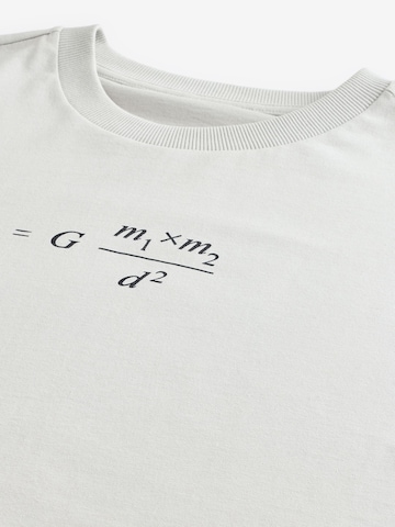 Next Shirt in Grijs