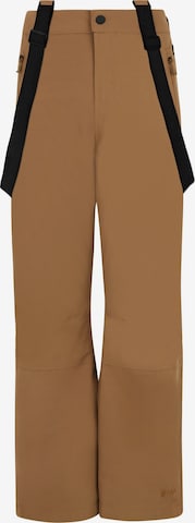PROTEST Sports trousers 'SPIKET JR' in Brown: front