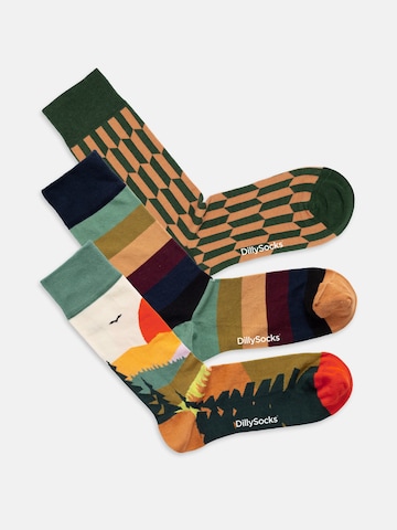 Chaussettes 'Falling for Nature' DillySocks en mélange de couleurs