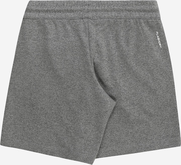 THE NORTH FACE Regular Outdoorshorts 'NEVER STOP' in Grau