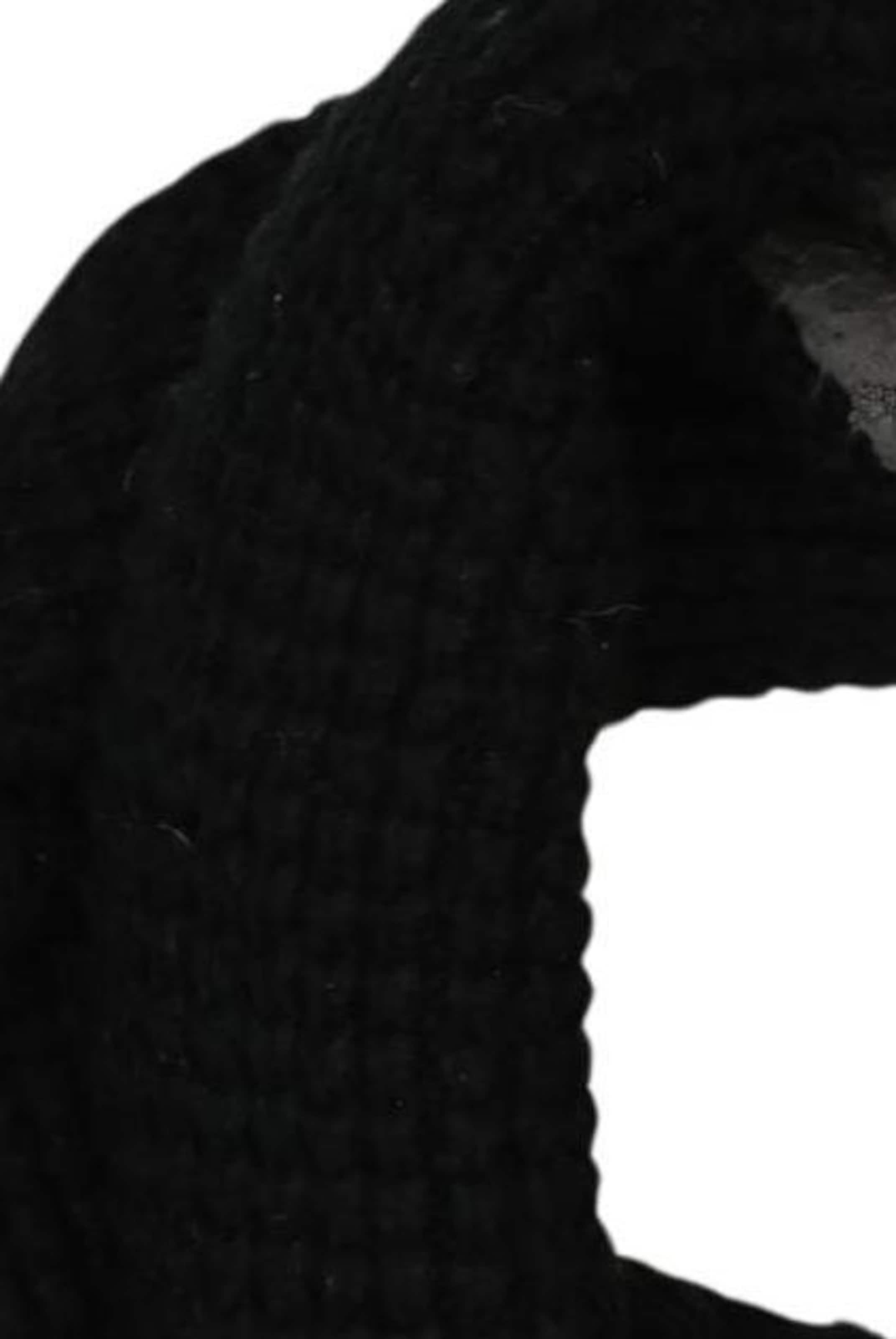 Superdry & Co Scarf & Wrap in One size in Black