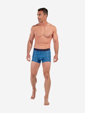 HOM Boxer shorts ' HO1 Beachcomber ' in Blue