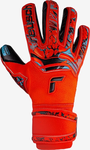 REUSCH Athletic Gloves 'Attrakt Gold X' in Orange: front