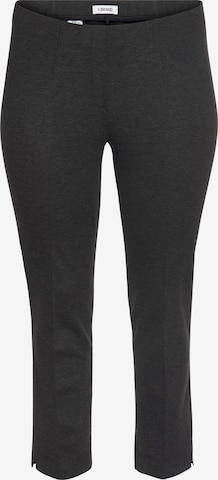 KjBRAND Regular Pants in Grey: front