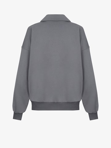 FEMSSY - Sudadera con cremallera 'FORM ZIP UP SWEATSHIRT GREY' en gris