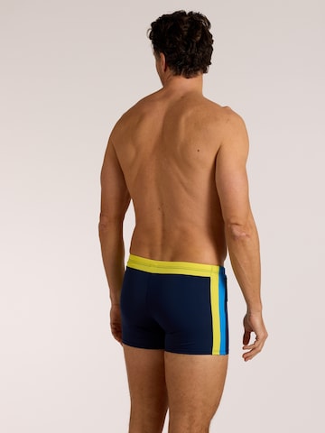wavebreaker Swim Trunks in Blue