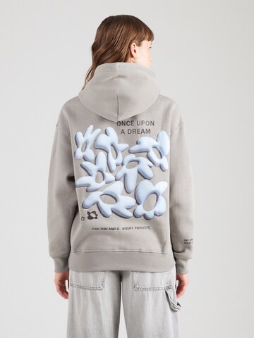 Sublevel Sweatshirt in Grijs: voorkant