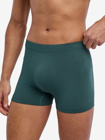 FALKE Boxershorts 'Seamless' in Grün: Vorderseite