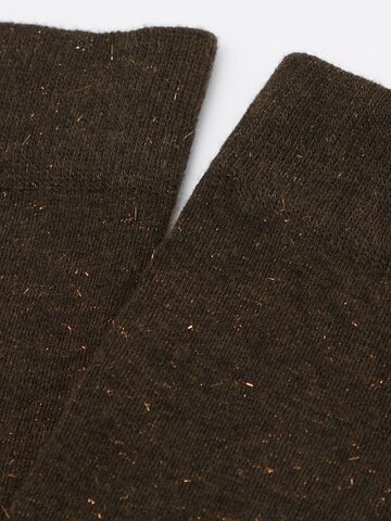 CALZEDONIA Kniestrümpfe in Braun