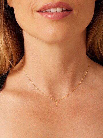 Lucardi Hangers 'Klassisch' in Goud