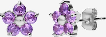 Lucardi Oorbellen in Zilver: voorkant