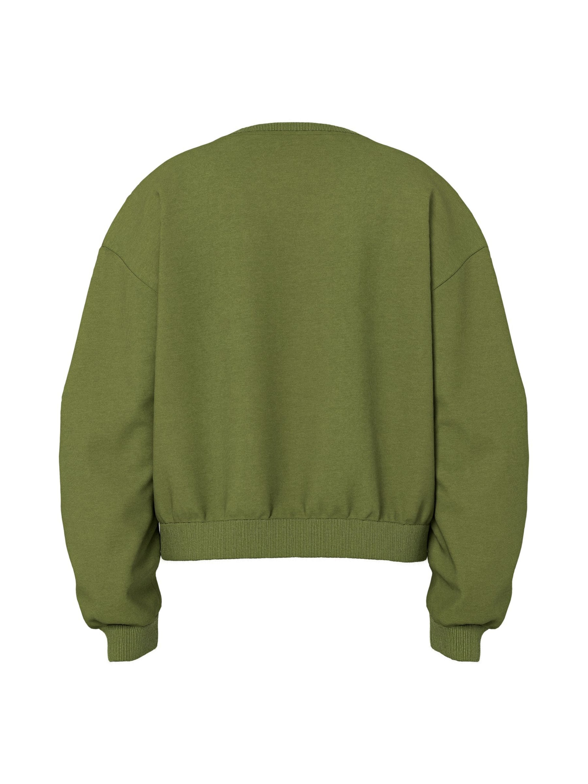 Sweat-shirt 'HDAGGIE' HYPEDROP en vert
