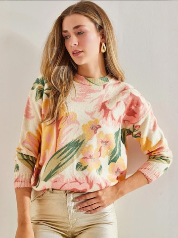 Bianco Lucci Pulover 'Pullover' | mešane barve barva: sprednja stran