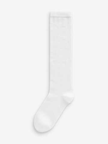 Next - Calcetines hasta la rodilla en blanco