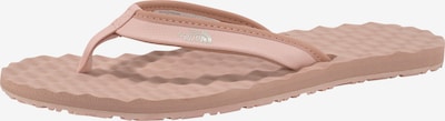 THE NORTH FACE Zehentrenner in puder / silber, Produktansicht