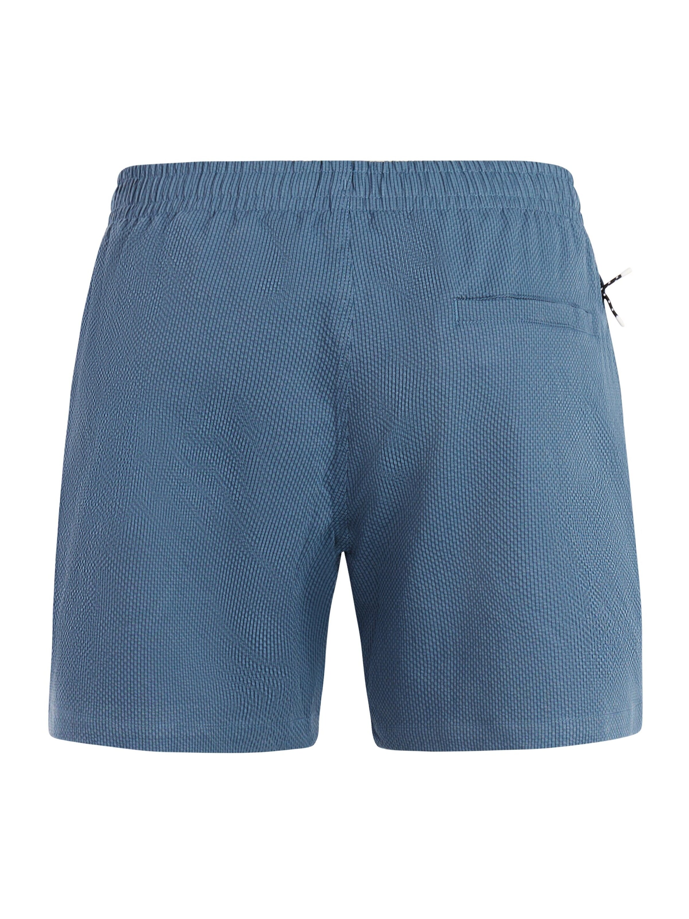 PROTEST Badeshorts 'PRTWytona'‌‌‌‌ in Blau