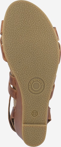 Ca'Shott Sandals in Brown