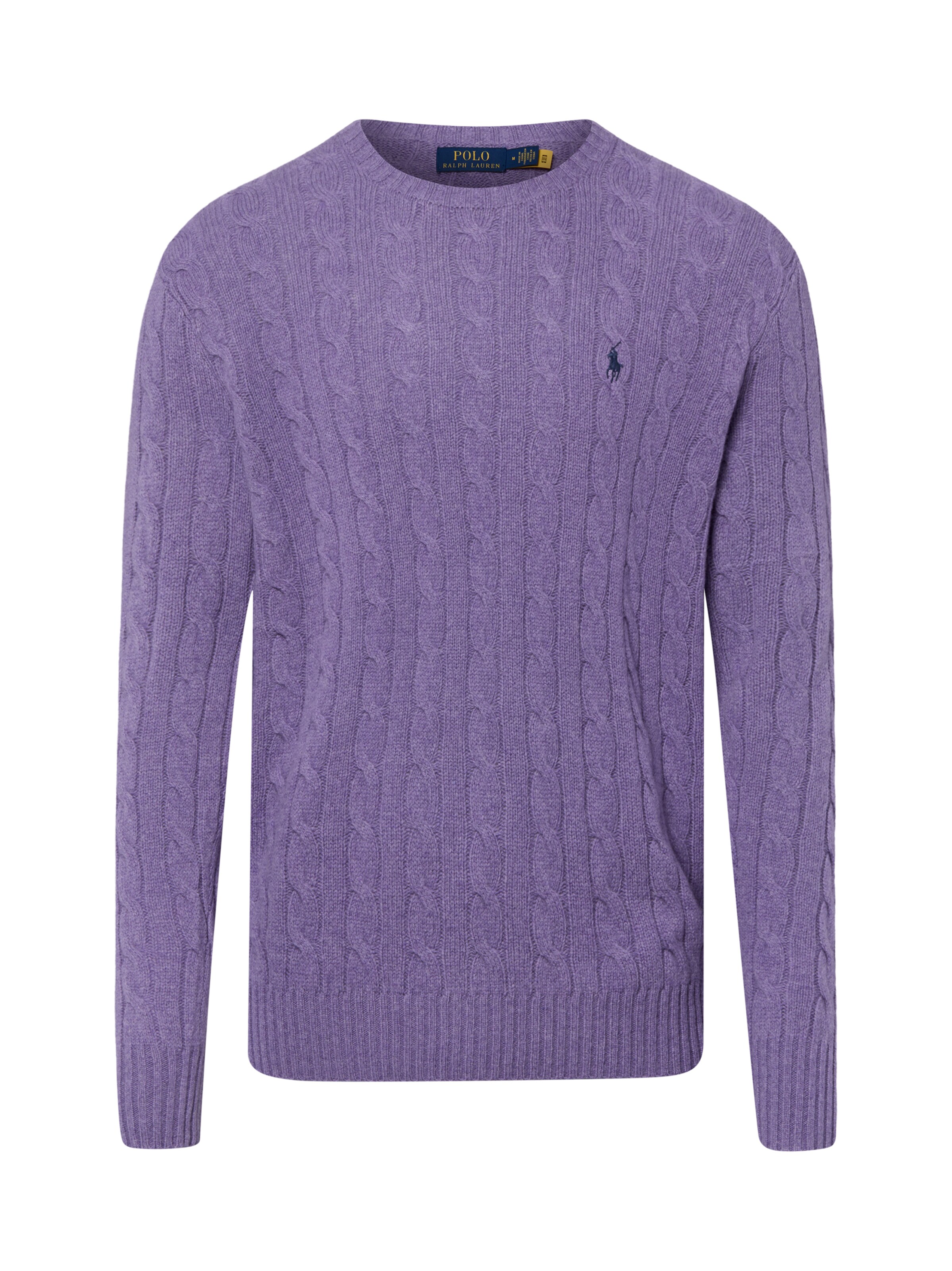 Ralph Lauren Sweater in Purple: front