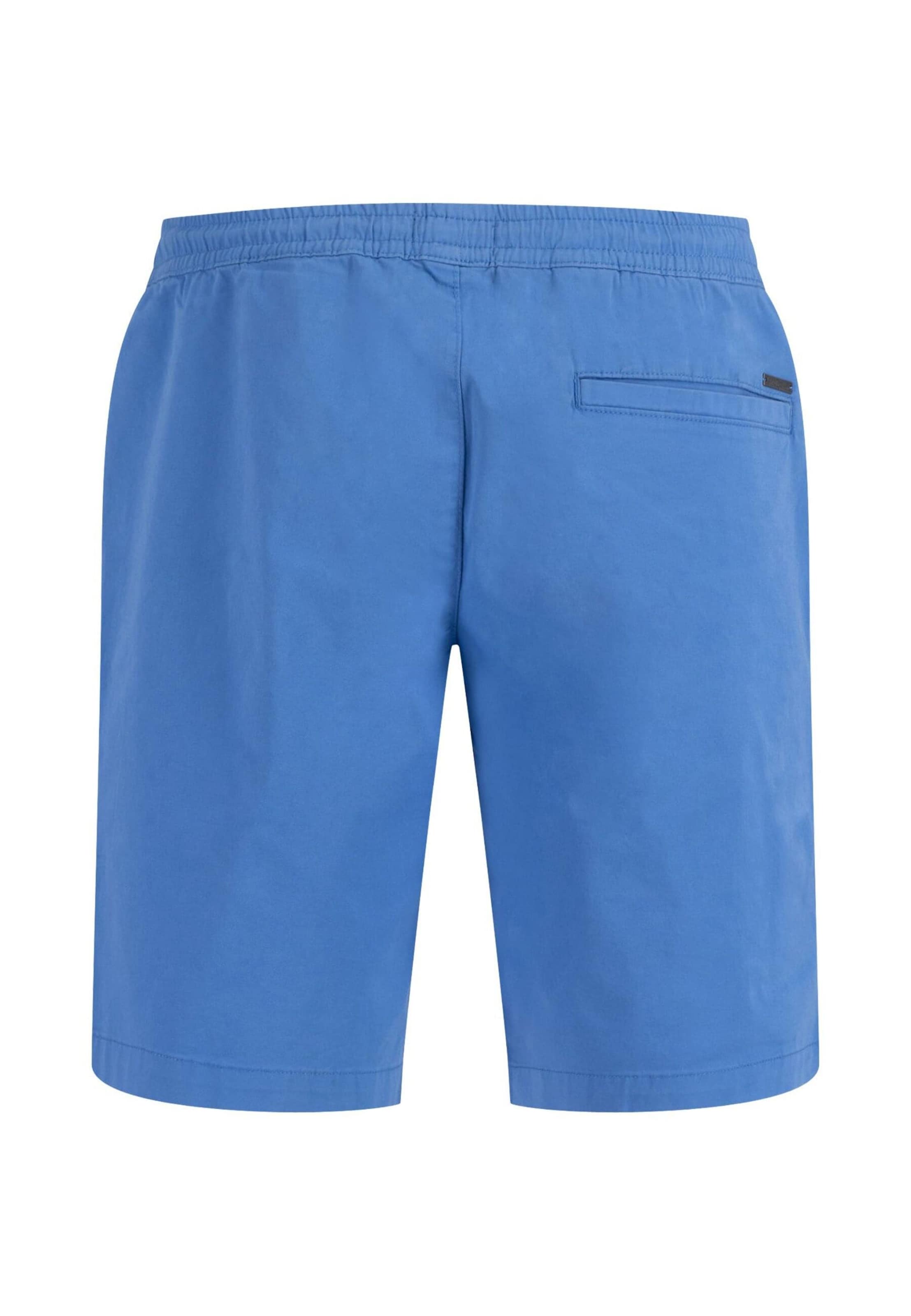 FYNCH-HATTON Обычный Штаны в Синий