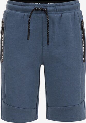 Slimfit Pantaloni de la WE Fashion pe albastru: față